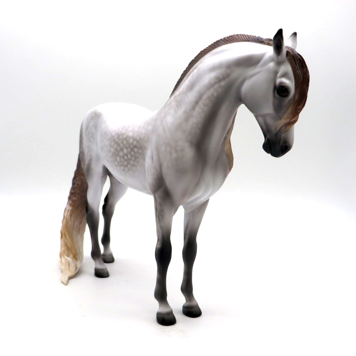 Rahsaan - OOAK Dapple Gray Andalusian by Caroline Boydston - BO 4/25/22