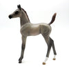 Dip the Bill - OOAK Gray Arab Foal - SHCF 22