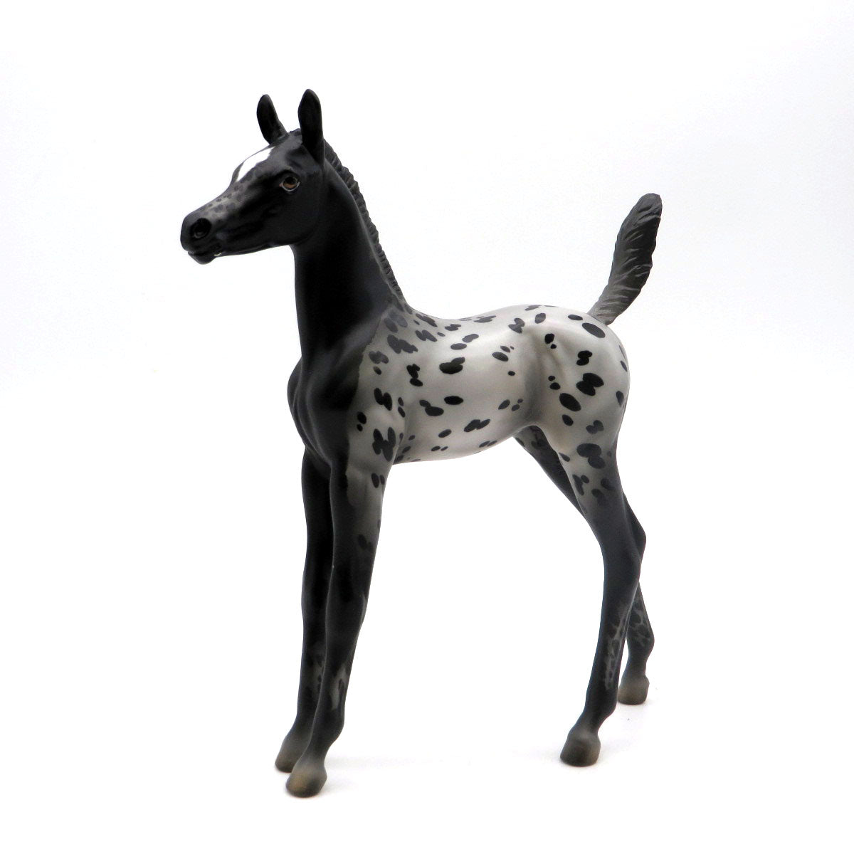 Behind the Eight Ball - OOAK Black Appaloosa Arab Foal - SHCF 22