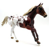 Burn Powder - OOAK Sorrel Appaloosa FQH - SHCF 22