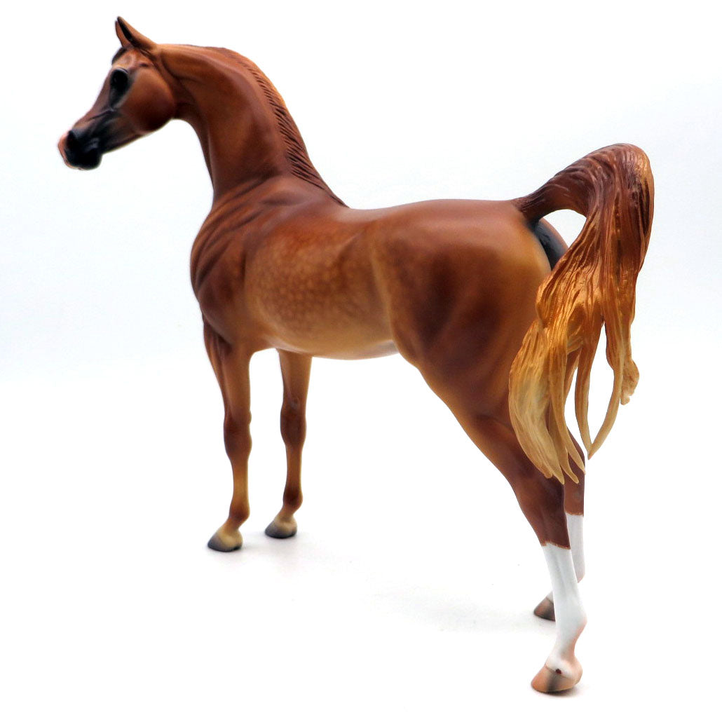 MCLEAN-OOAK DAPPLE LIGHT CHESTNUT ARABIAN BY CB 4/29/22