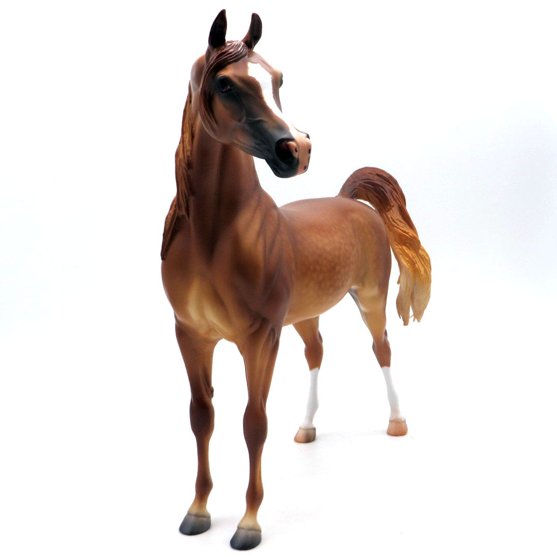 MCLEAN-OOAK DAPPLE LIGHT CHESTNUT ARABIAN BY CB 4/29/22