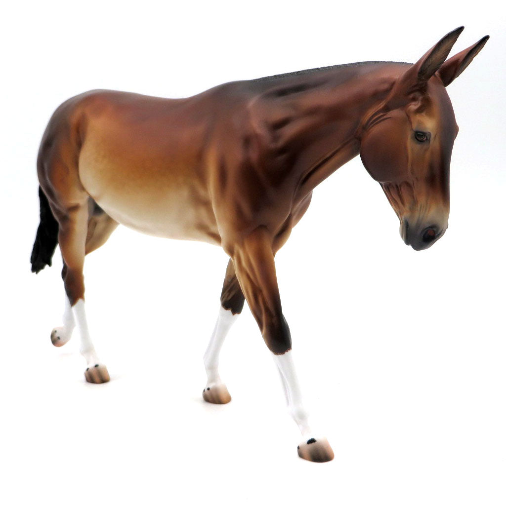 Lindsay-OOAK Bay Mule Painted By Caroline Boydston  4/29/22