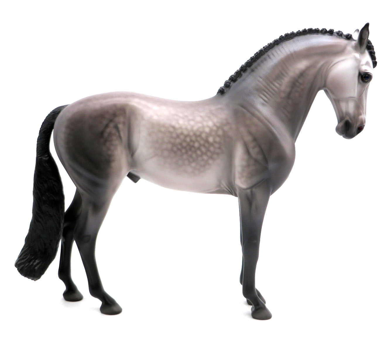 Calypso-OOAK Dapple Grey Andalusian Painted By Caroline Boydston  4/29/22