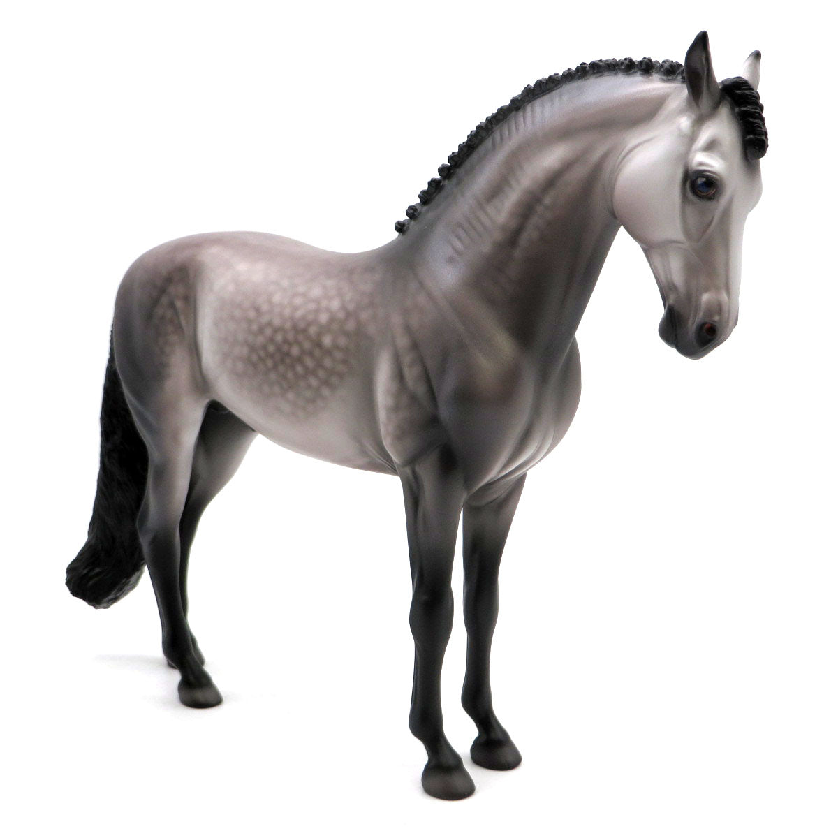 Calypso-OOAK Dapple Grey Andalusian Painted By Caroline Boydston  4/29/22