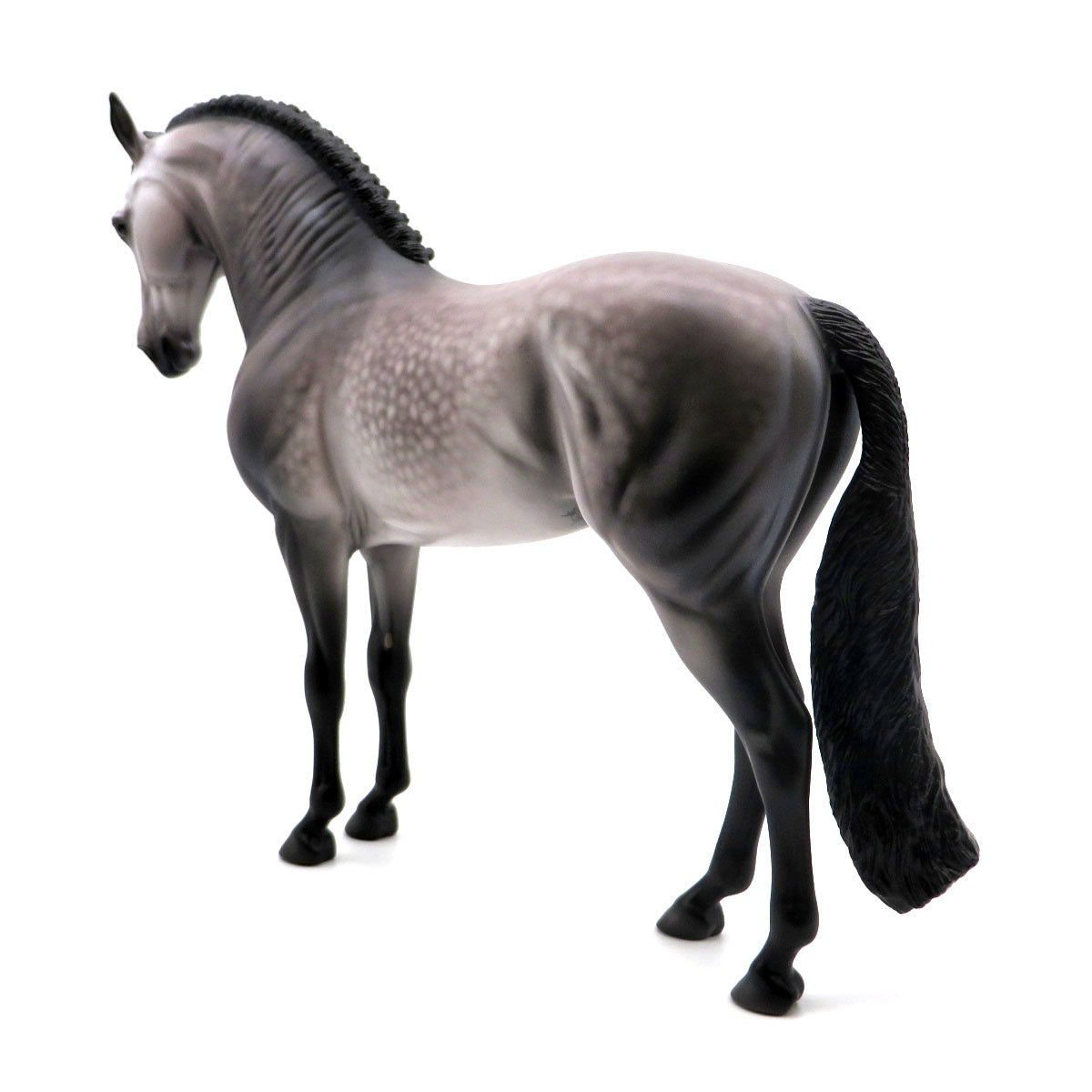 Calypso-OOAK Dapple Grey Andalusian Painted By Caroline Boydston  4/29/22