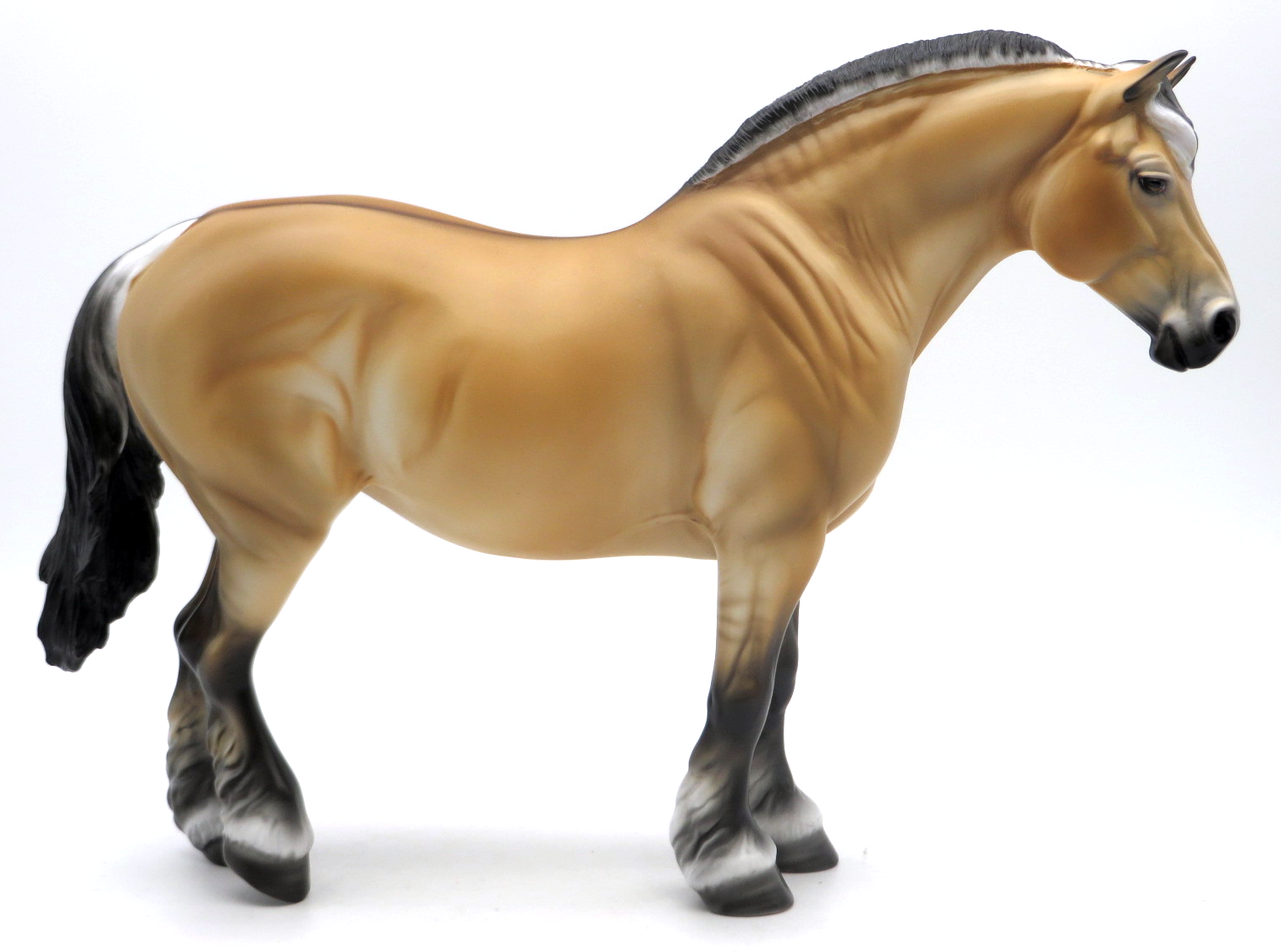 Sunrise - LOYALTY 21/22 - Fjord Cross Draft Mare