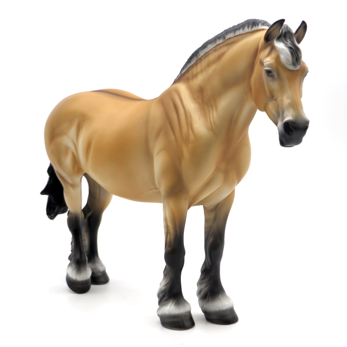 Sunrise - LOYALTY 21/22 - Fjord Cross Draft Mare