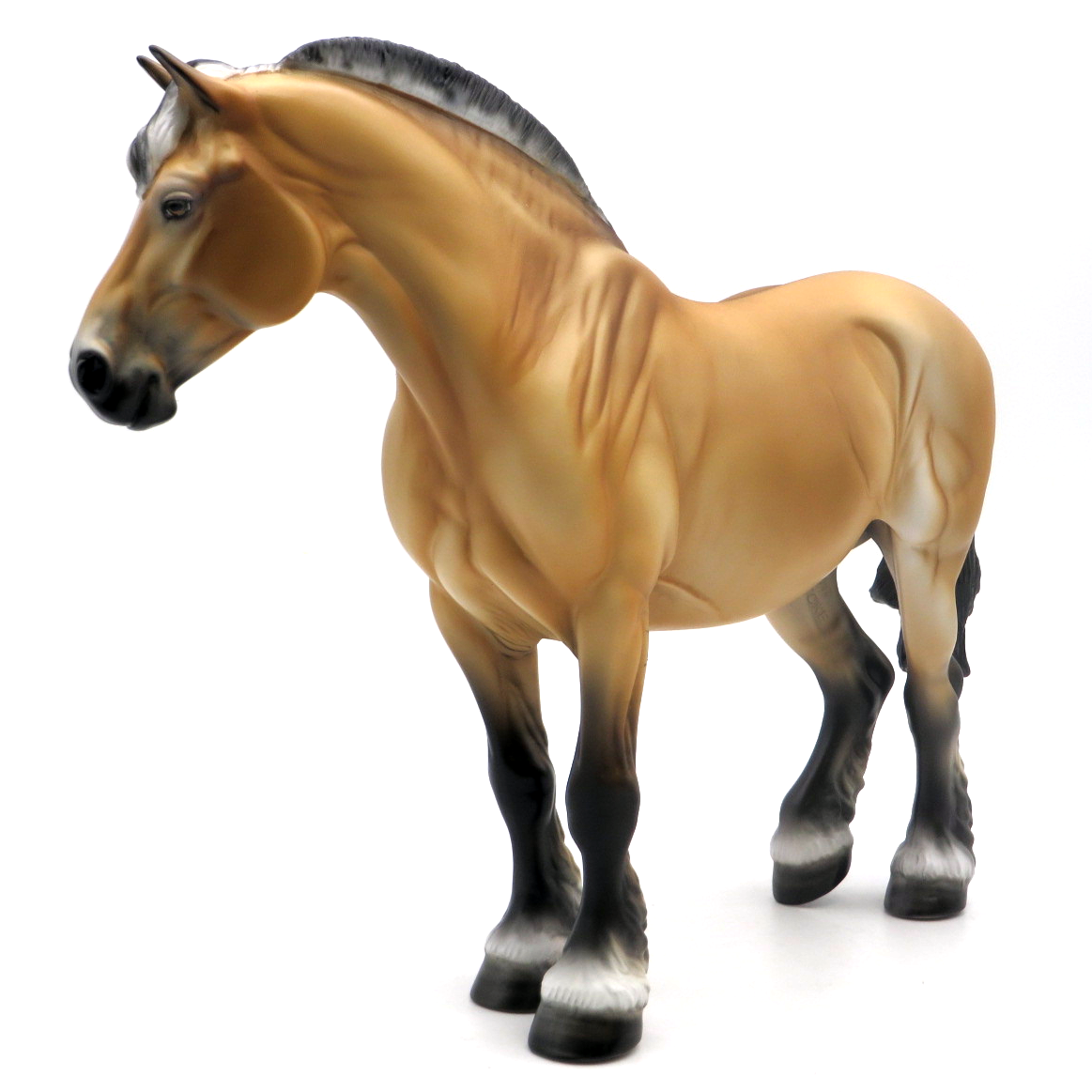 Sunrise - LOYALTY 21/22 - Fjord Cross Draft Mare