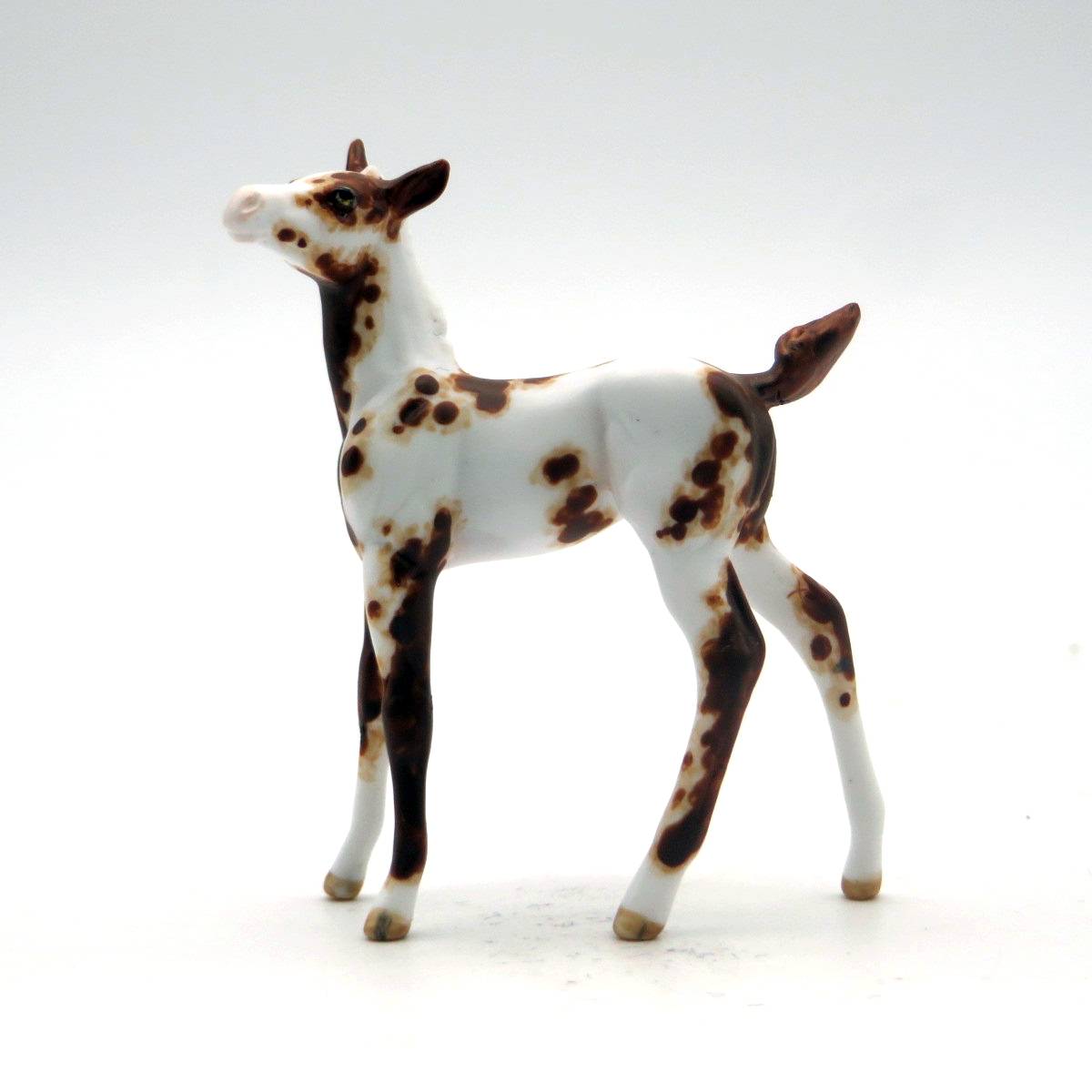 Fox Trot - OOAK Overo Foal Chip - SHCF 22