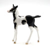 Charleston - OOAK Black Tobiano Foal Chip - SHCF 22