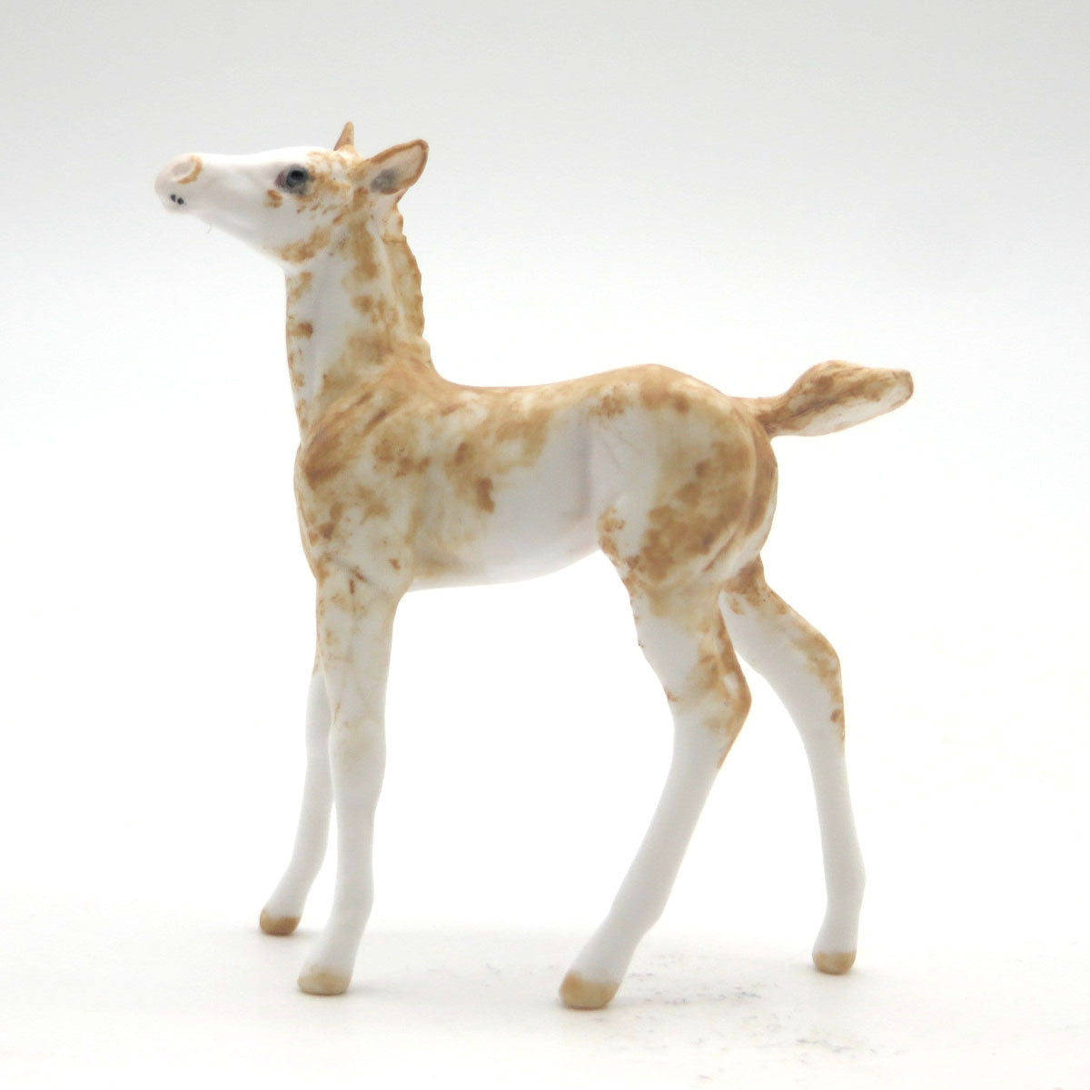 Samba - OOAK Sabino Foal Chip - SHCF 22