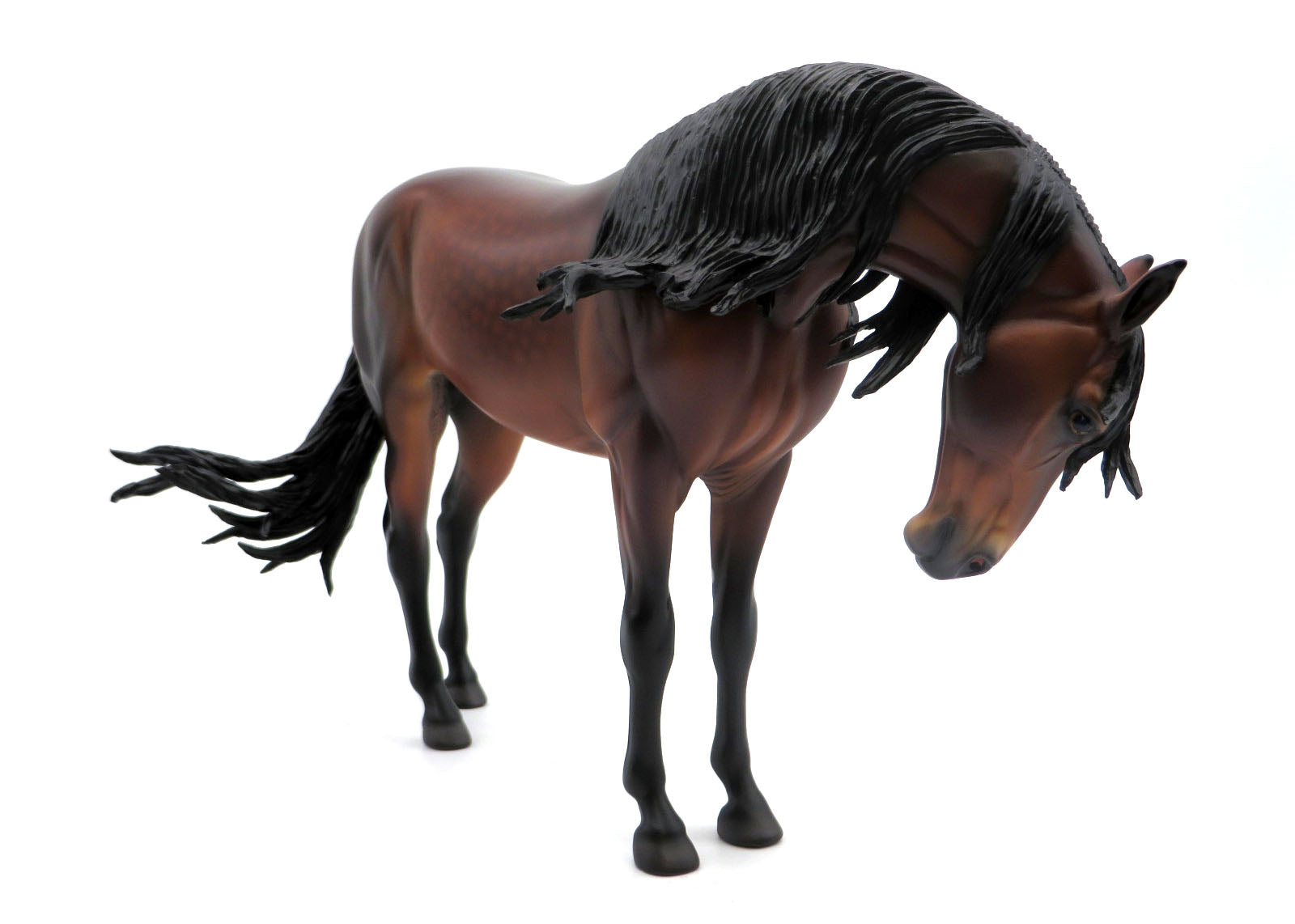 Saxon-OOAK Dapple Bay Andalusian Extreme Custom Painted by Caroline Boydston EQ 22