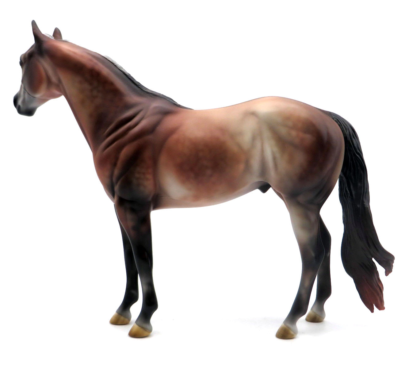 Scarface-OOAK Bay going grey ISH  Painted by Julie Keim SHCF 22