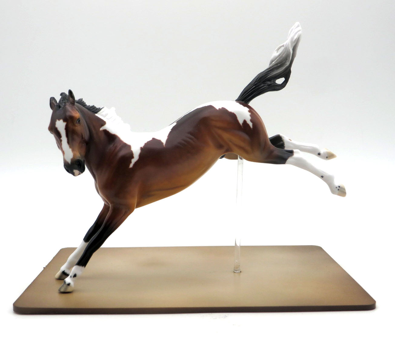 Outlaw-OOAK Extreme Custom Rearing Pebbles Bay Pinto SHCF 22