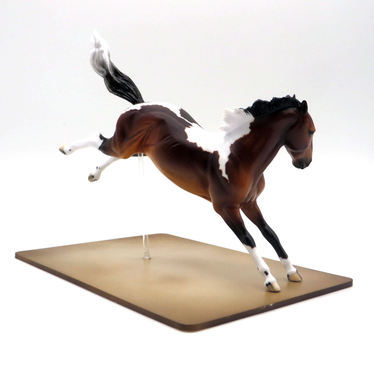 Outlaw-OOAK Extreme Custom Rearing Pebbles Bay Pinto SHCF 22