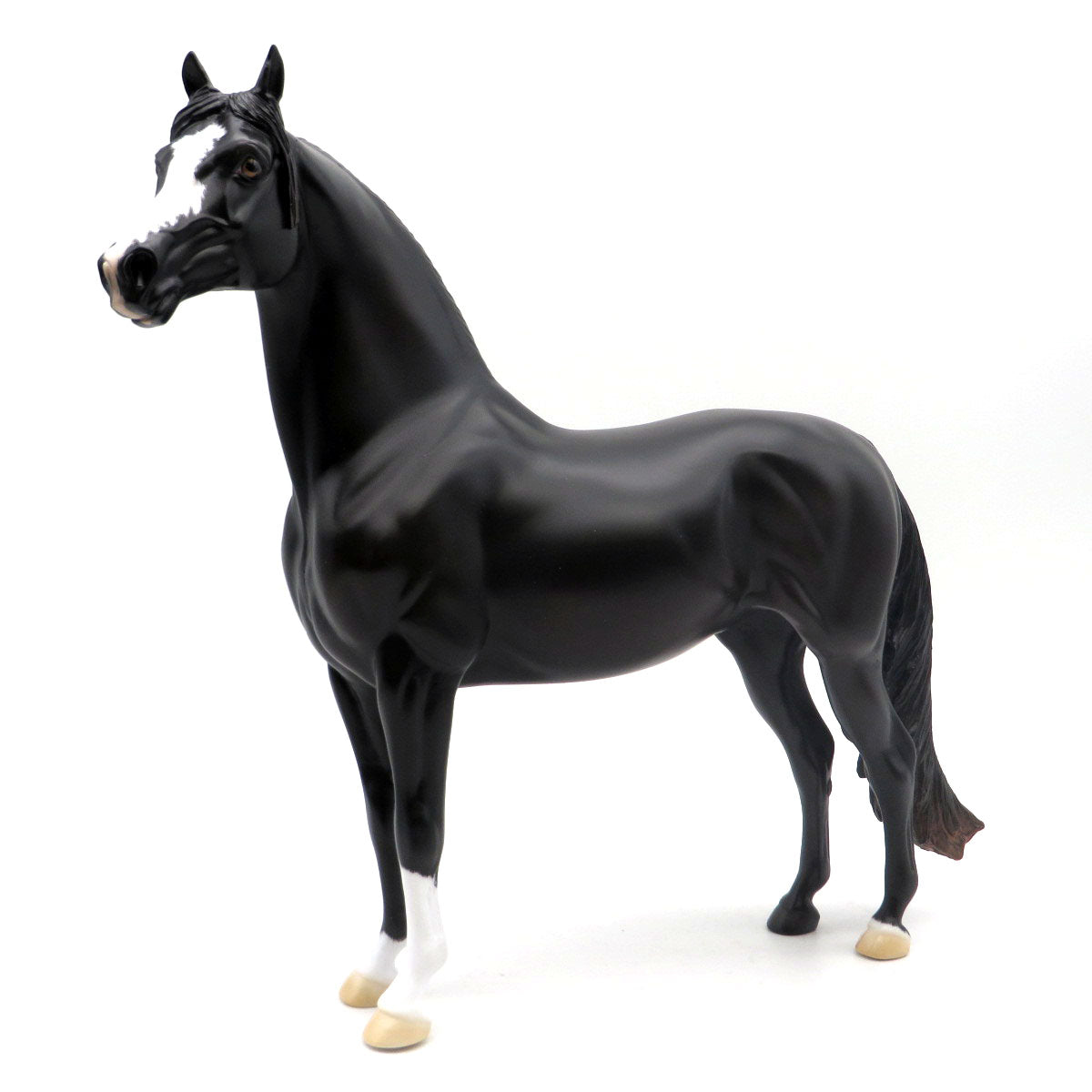 Schnozzle - OOAK Black Morgan - SHCF 22