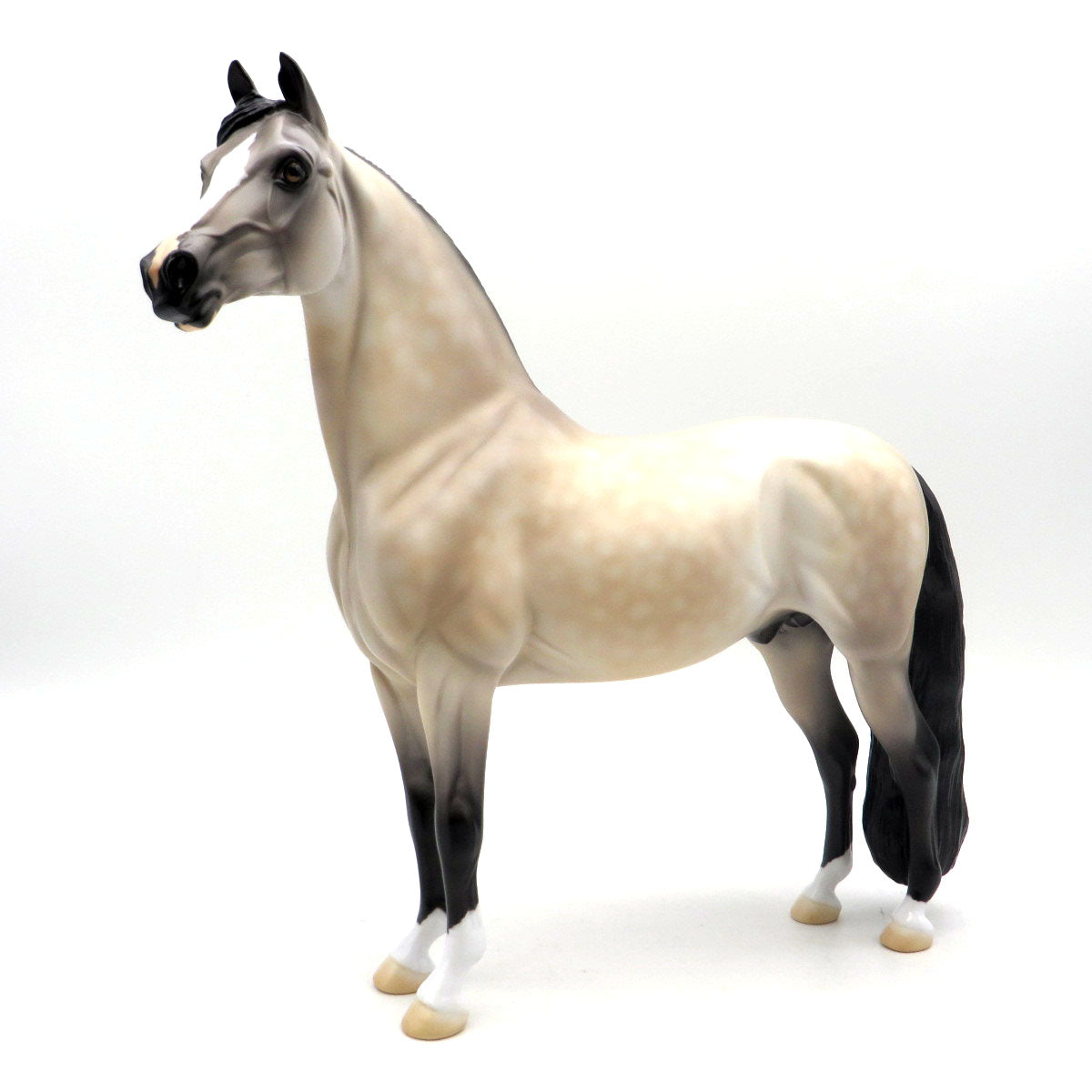 Swanky - OOAK Buckskin Morgan - SHCF 22