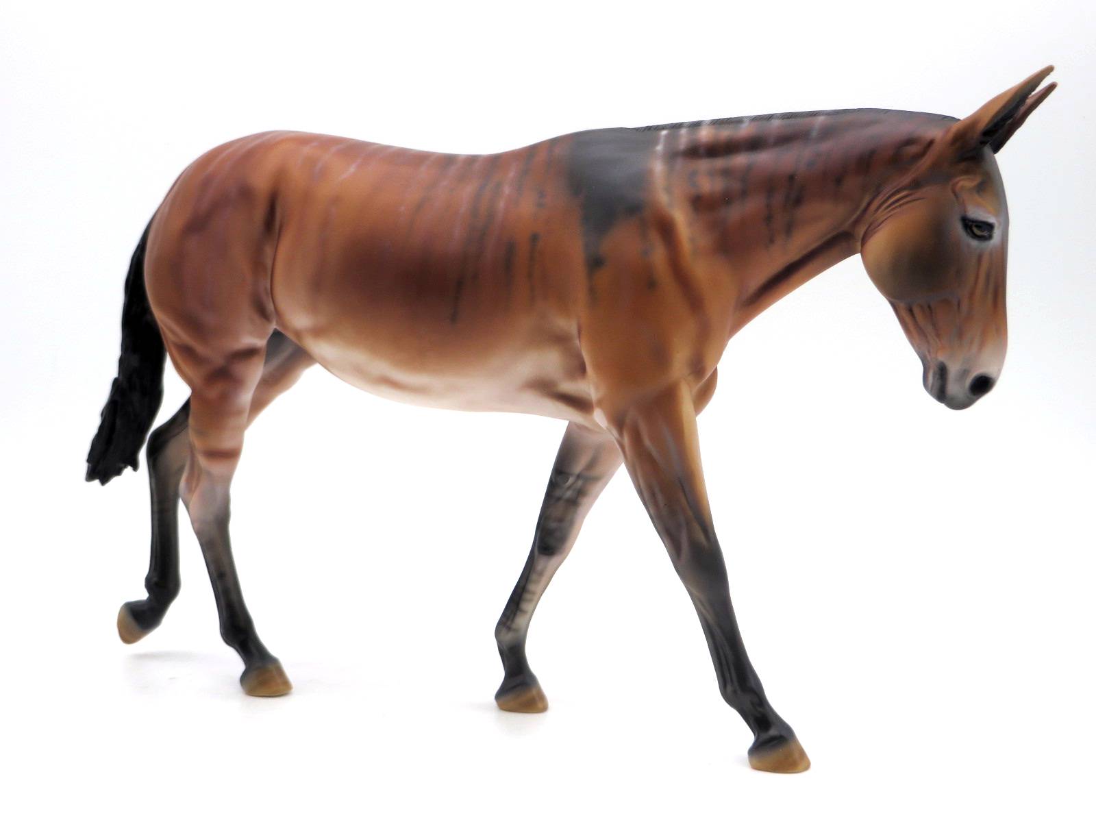 Sheza Looker - Brindle Mule -SHCF 22