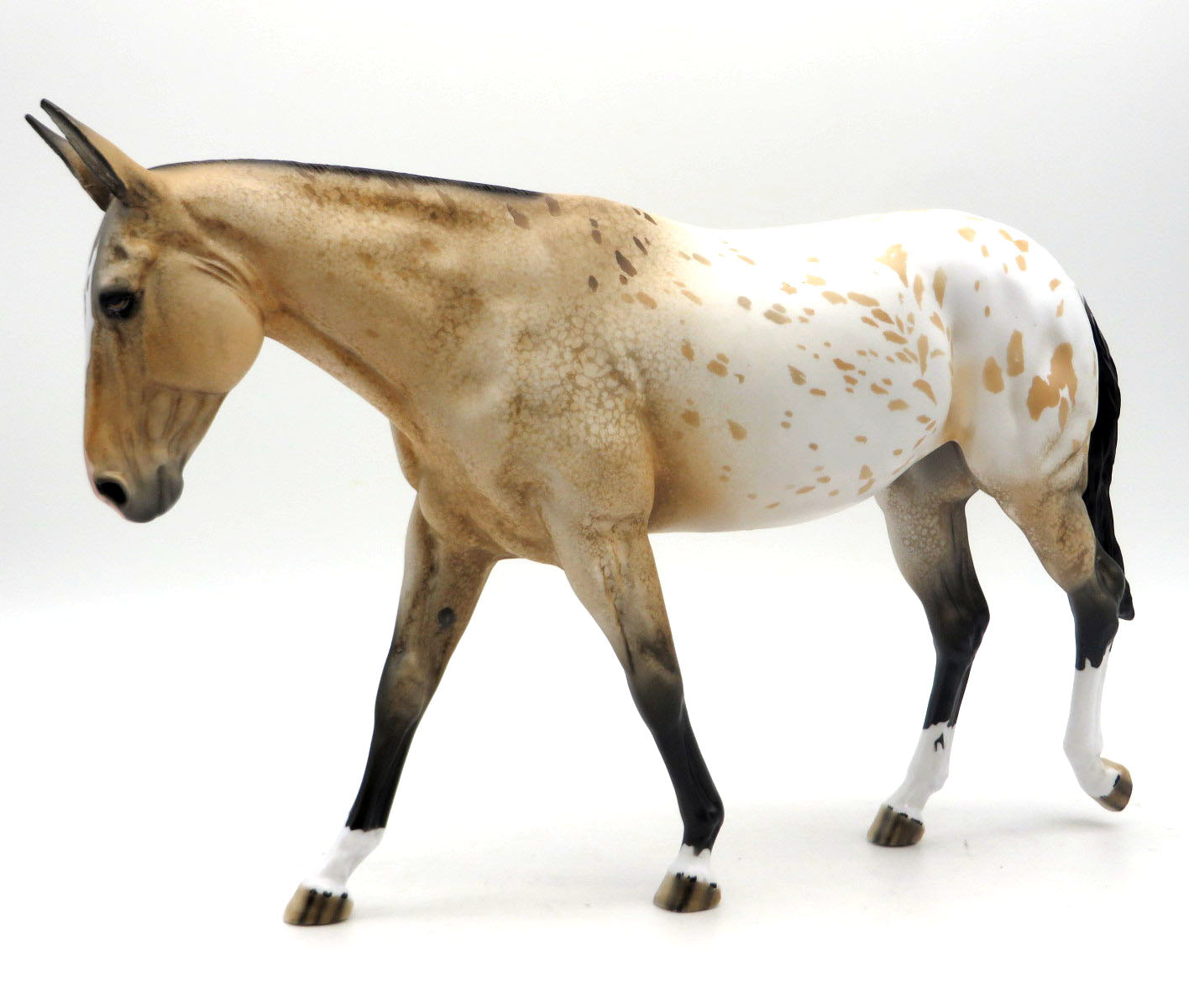 Go West-OOAK  Buckskin Appaloosa Mule SHCF 22