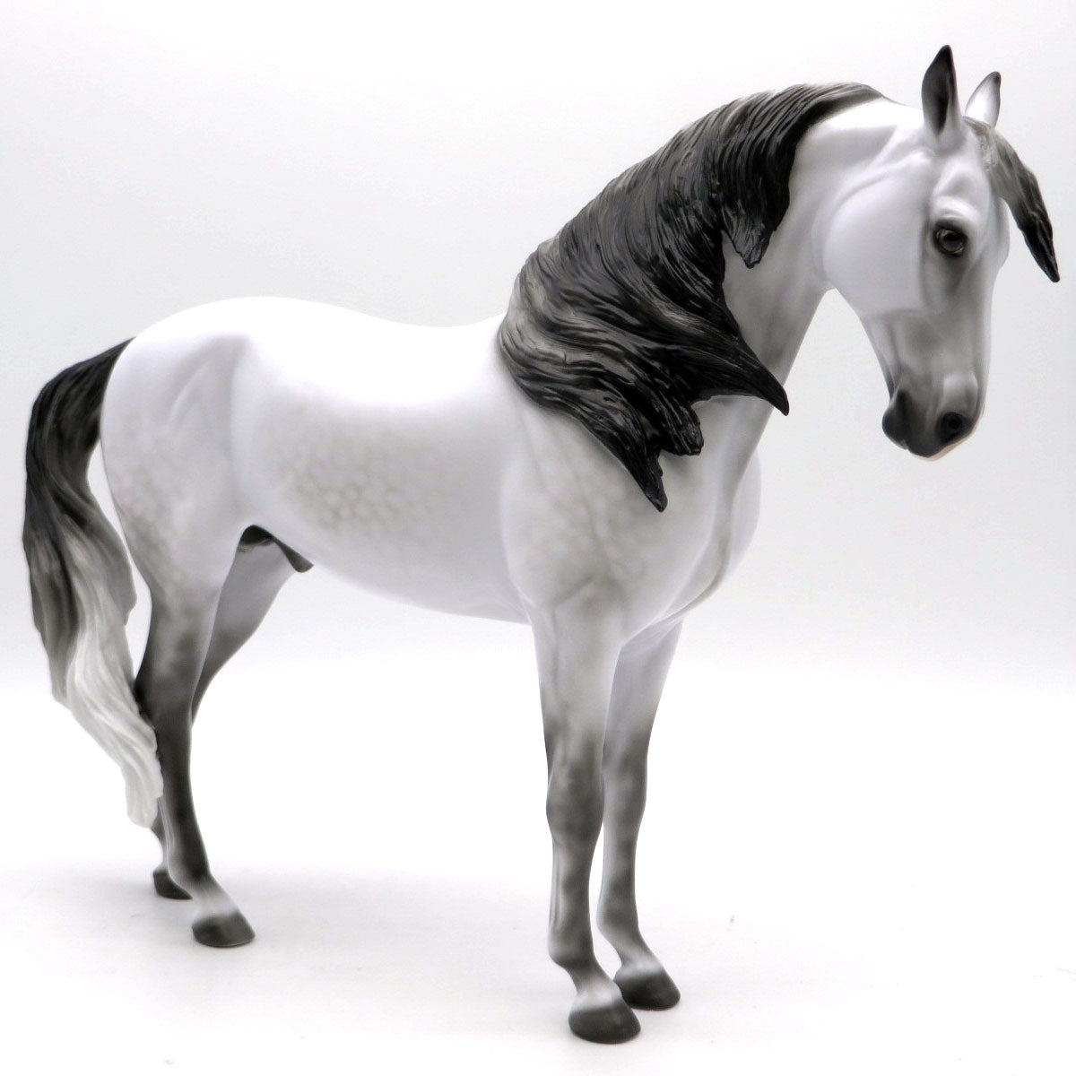 Ben-Hur- OOAK Dapple Grey Andalusian  SHCF 22