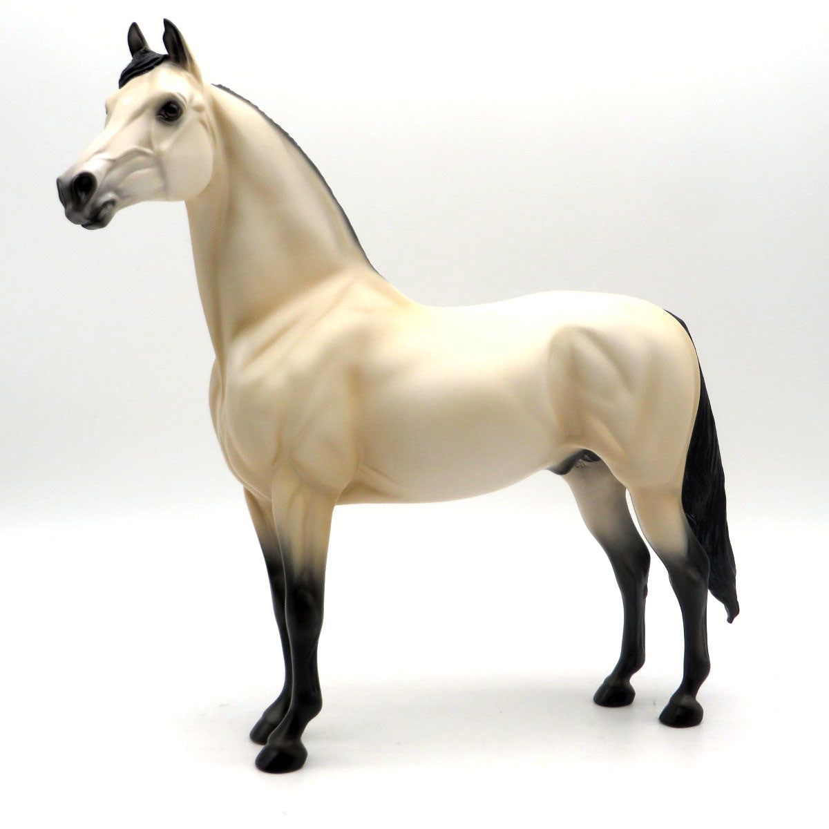 Nevada- OOAK Buckskin Morgan SHCF 22