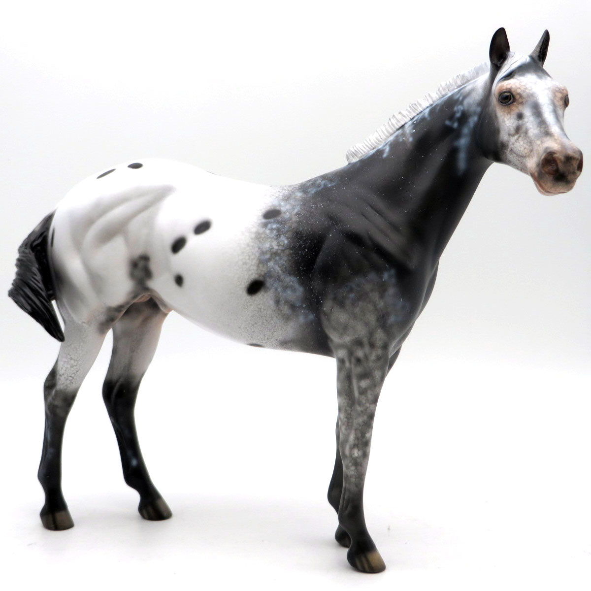 Joyless Street-OOAK  Appaloosa ISH SHCF 22