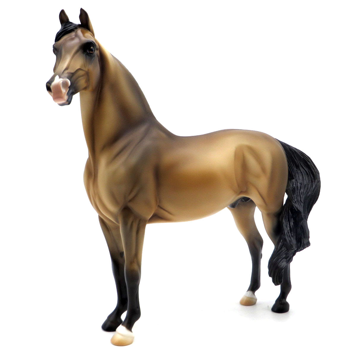 Seven Chances-OOAK Buckskin Morgan  SHCF 22