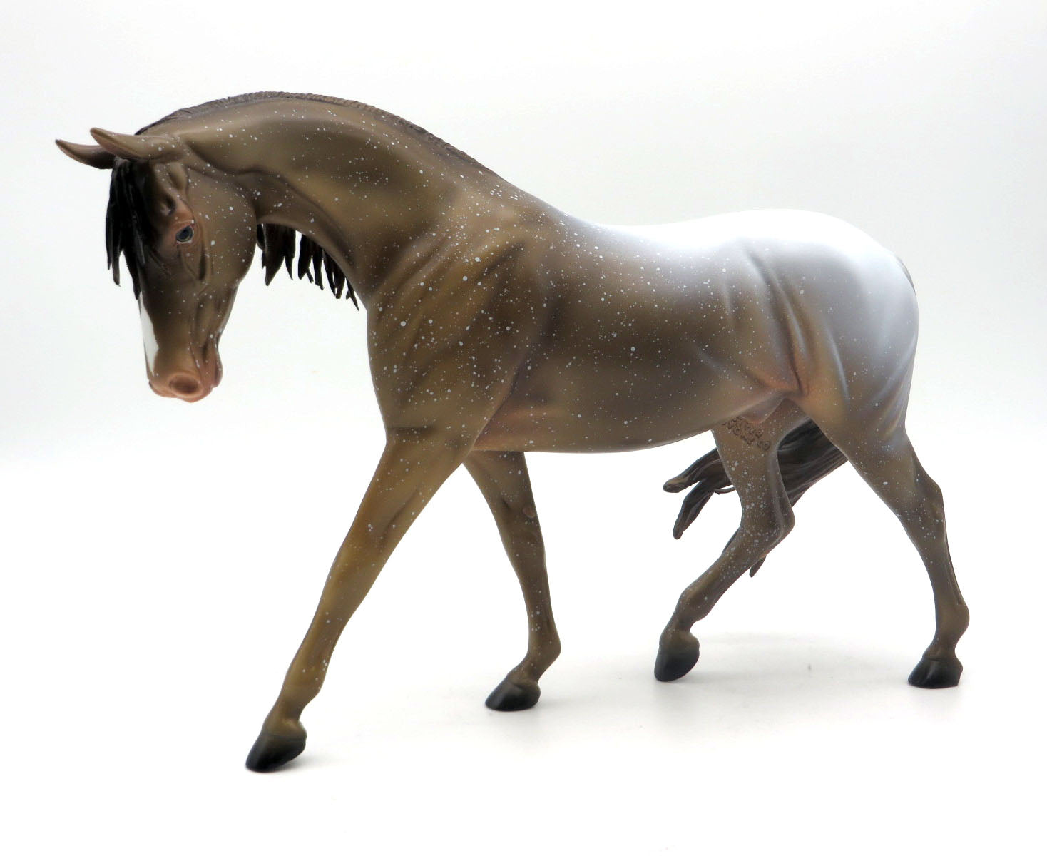The Navigator-OOAK Champagne Appaloosa Pony SHCF 22