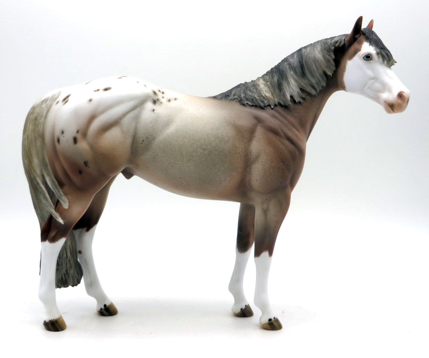 Haxen-OOAK Chestnut Roan Appaloosa ISH Painted by Julie SHCF 22