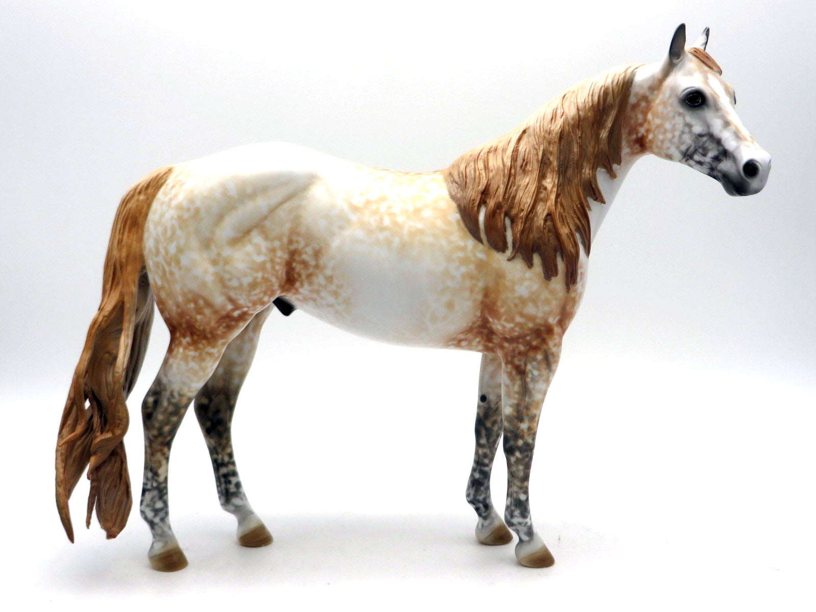 Big Stakes-Chestnut Appaloosa ISH painted by Al SHCF 22