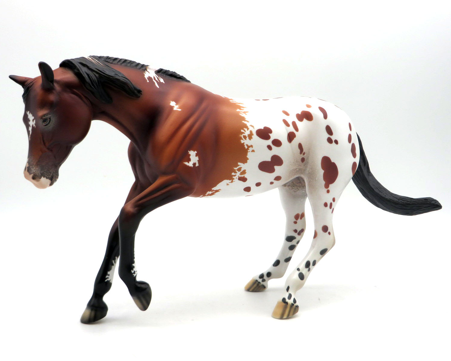 Battling Butler-OOAK Loud Bay Appaloosa Performance Horse SHCF 22