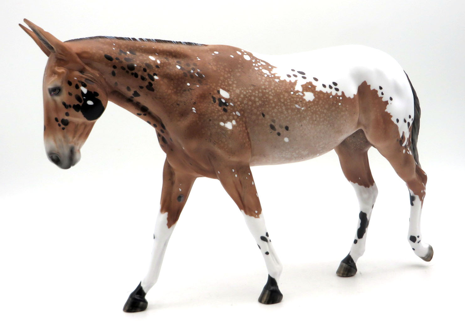 Ricochet-OOAK Appaloosa Mule Painted by Myla Pearce SHCF 22