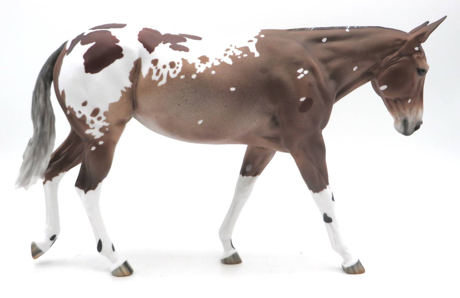 Petra - LE 9 - Appaloosa Mule by Myla Pearce - SHCF 22