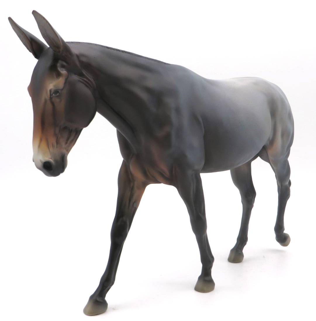 Broadway Melody - OOAK Bay Roan Mule SHCF 22