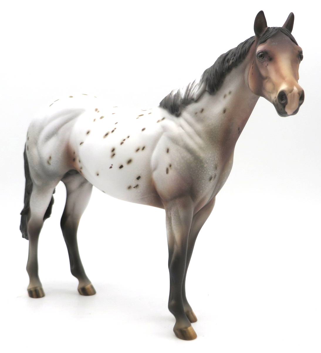 Lost World- OOAK Loud Appaloosa ISH SHCF 22