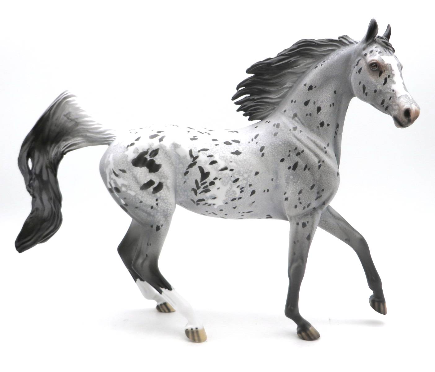 Untamed- OOAK Appaloosa Arabian Mare SHCF 22