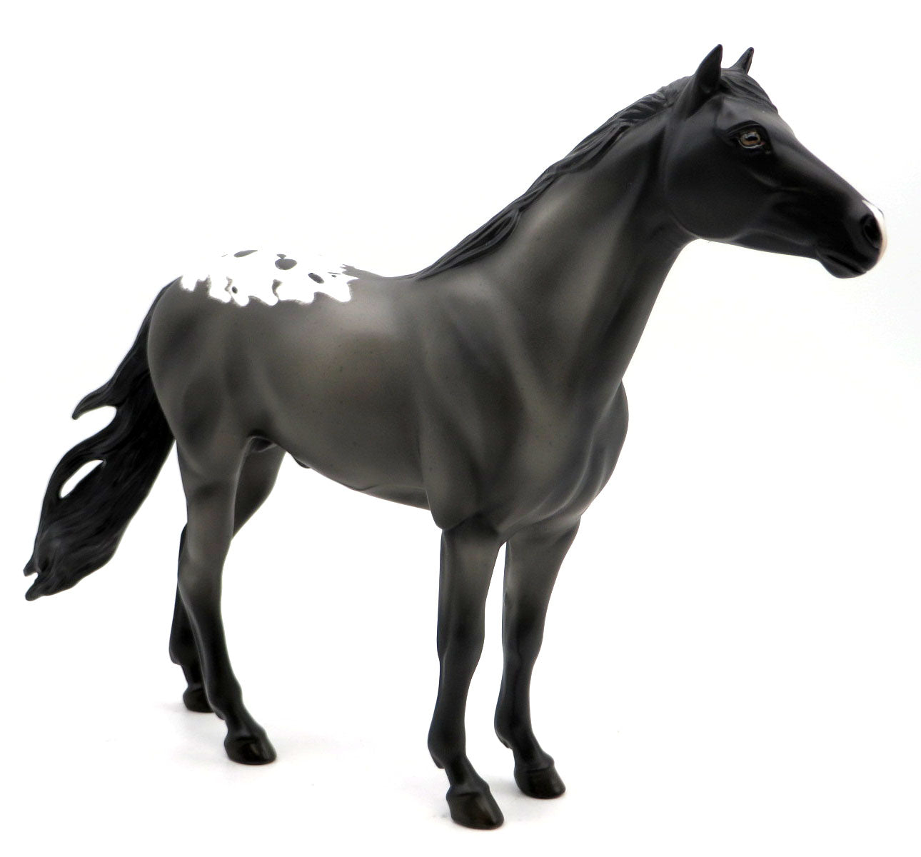 Touring- OOAK Etched Blanket Appaloosa Mustang Painted by Ellen SHCF 22