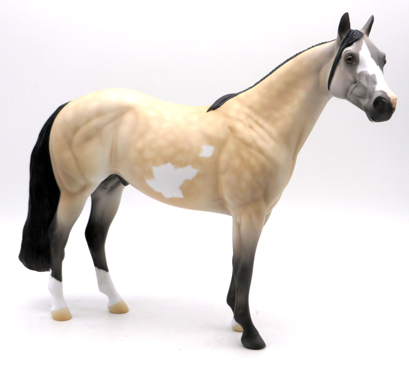 Packard- OOAK Buckskin Pinto ISH Painted by Jas SHCF 22