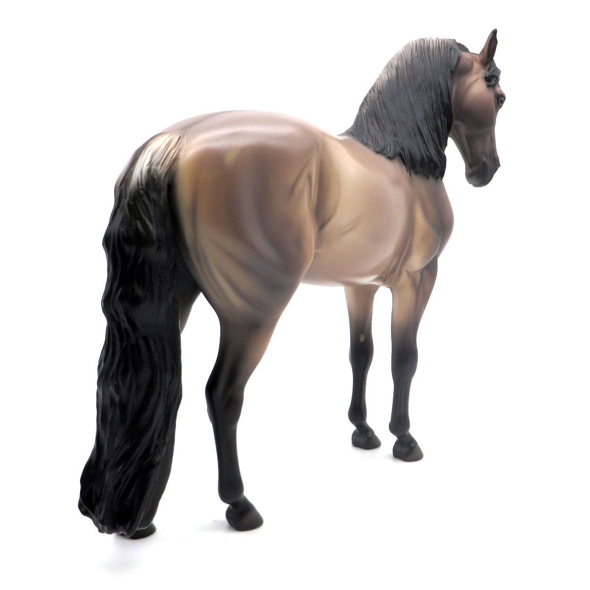 Winford- OOAK Buckskin Andalusian Painted by Caroline Boydston 5/16/22