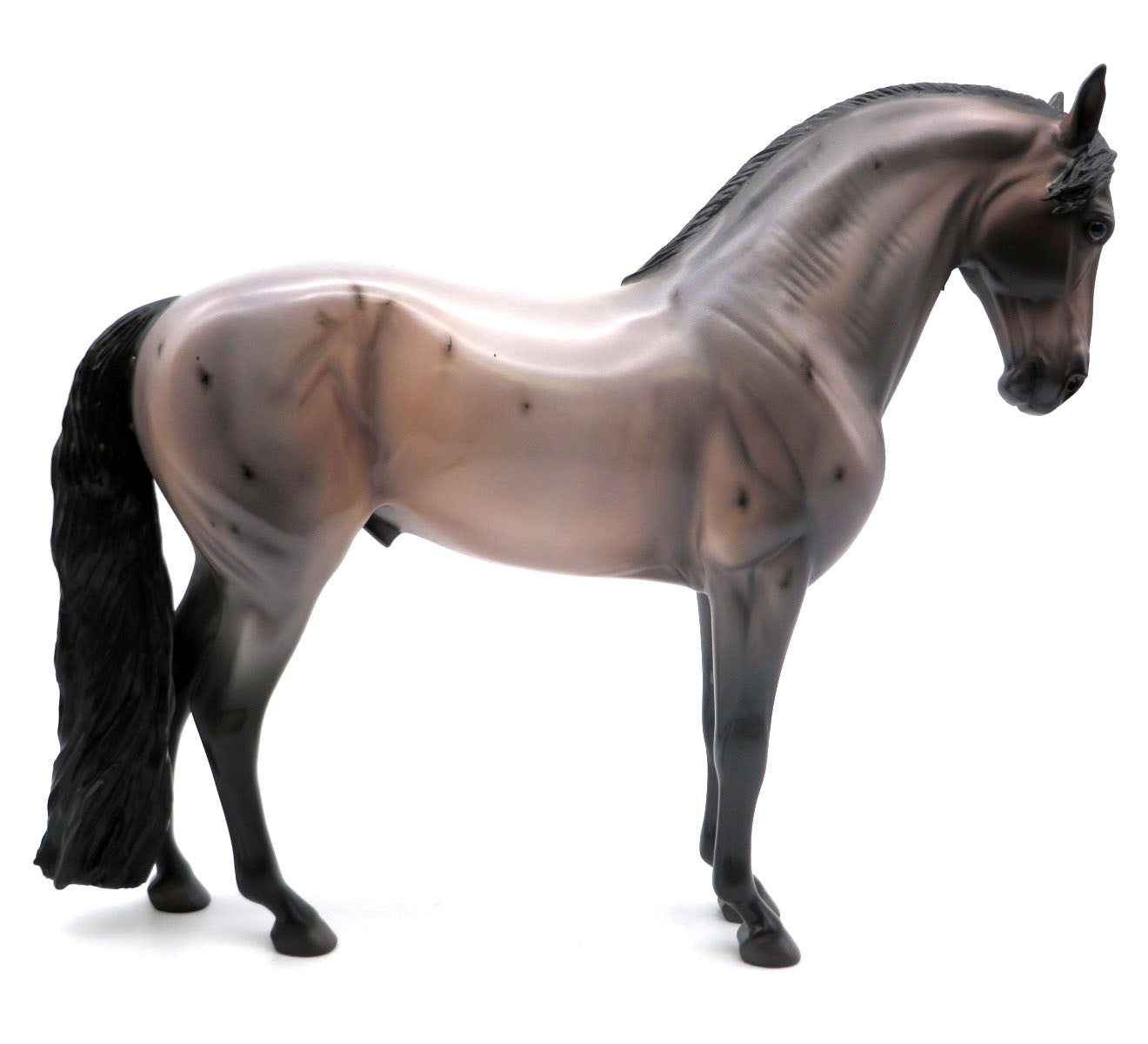 Tucker- OOAK Bay Roan Andalusian Painted by Caroline Boydston 5/16/22