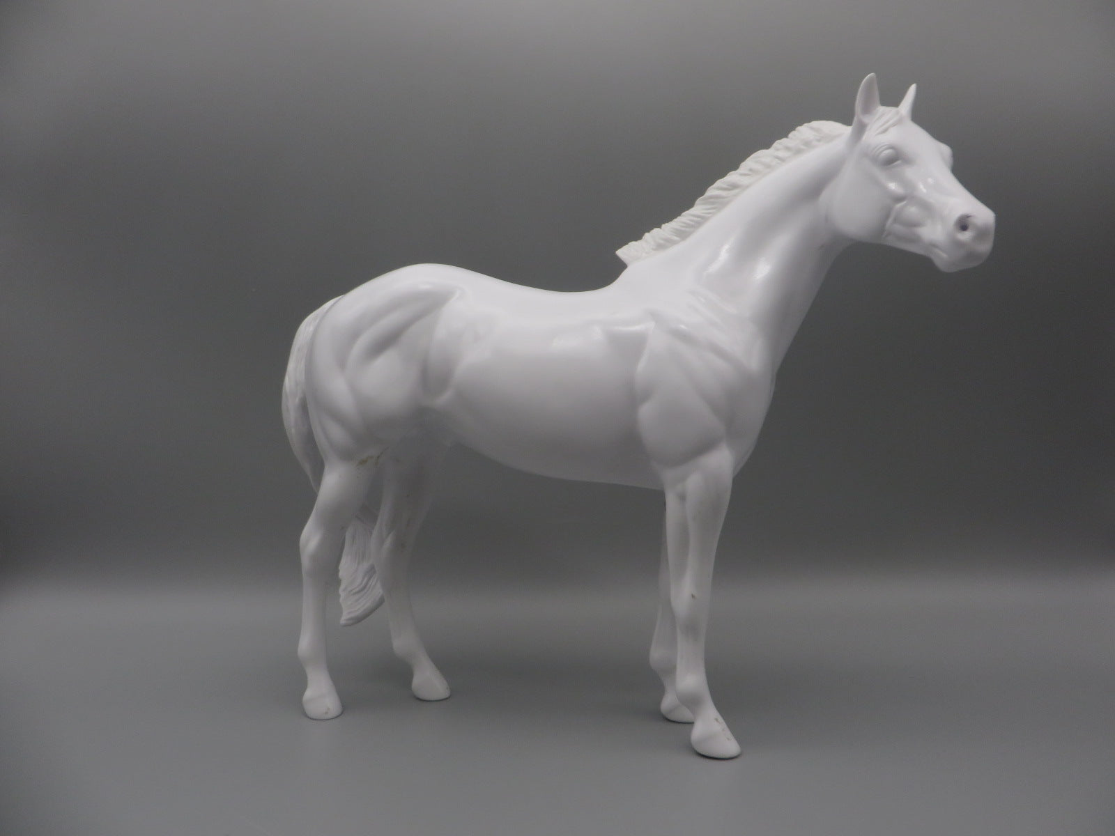 Body -Seconds Horse
