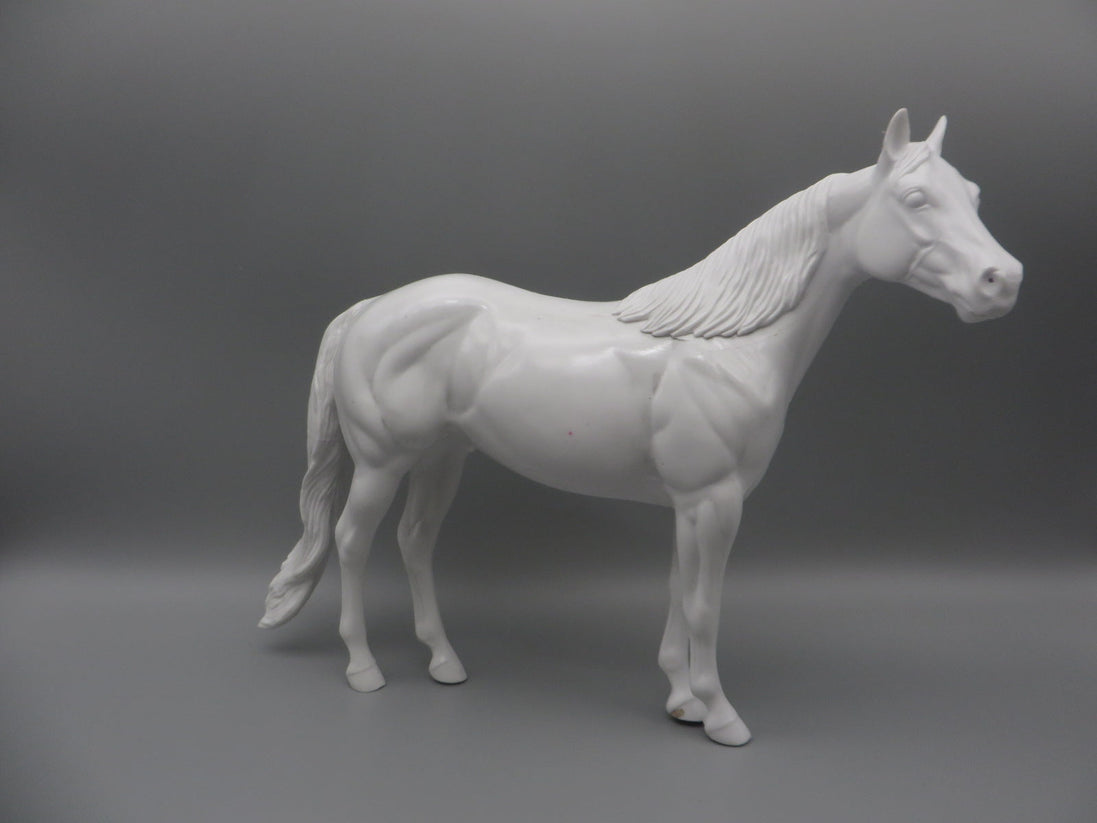 Body -Seconds Horse