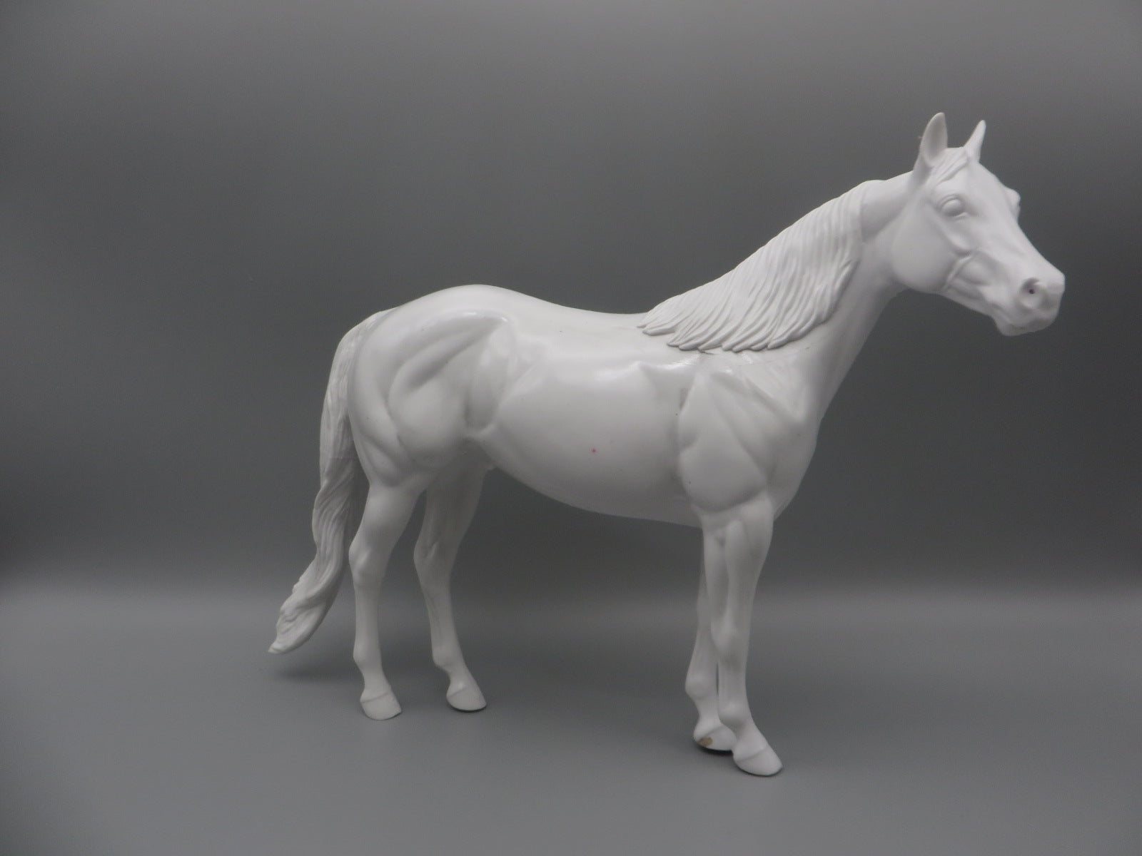 Body -Seconds Horse