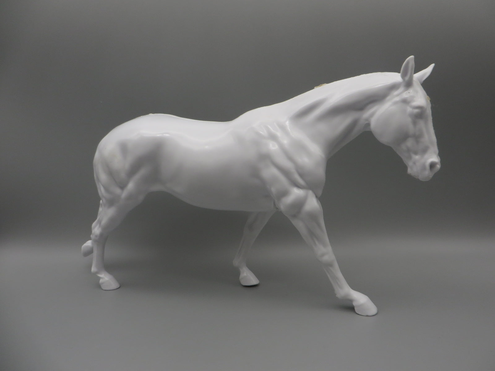 Body -Seconds Horse