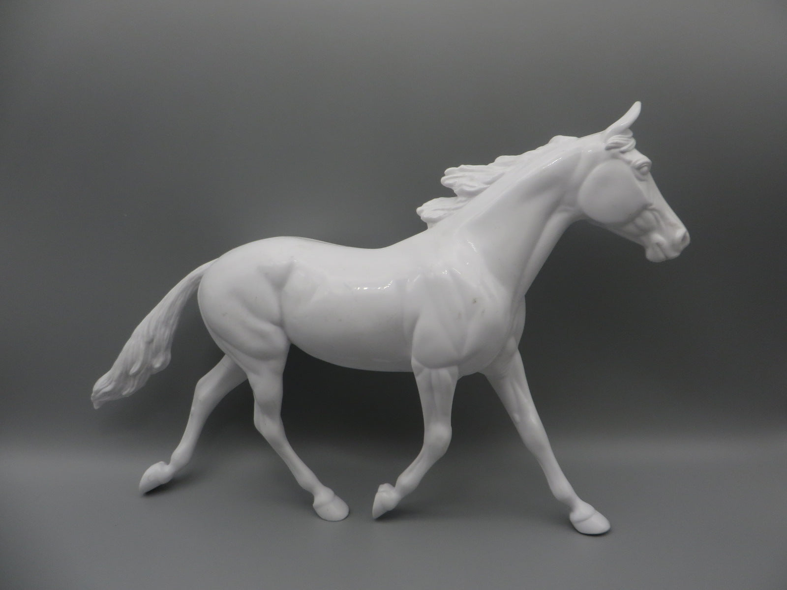 Body -Seconds Horse