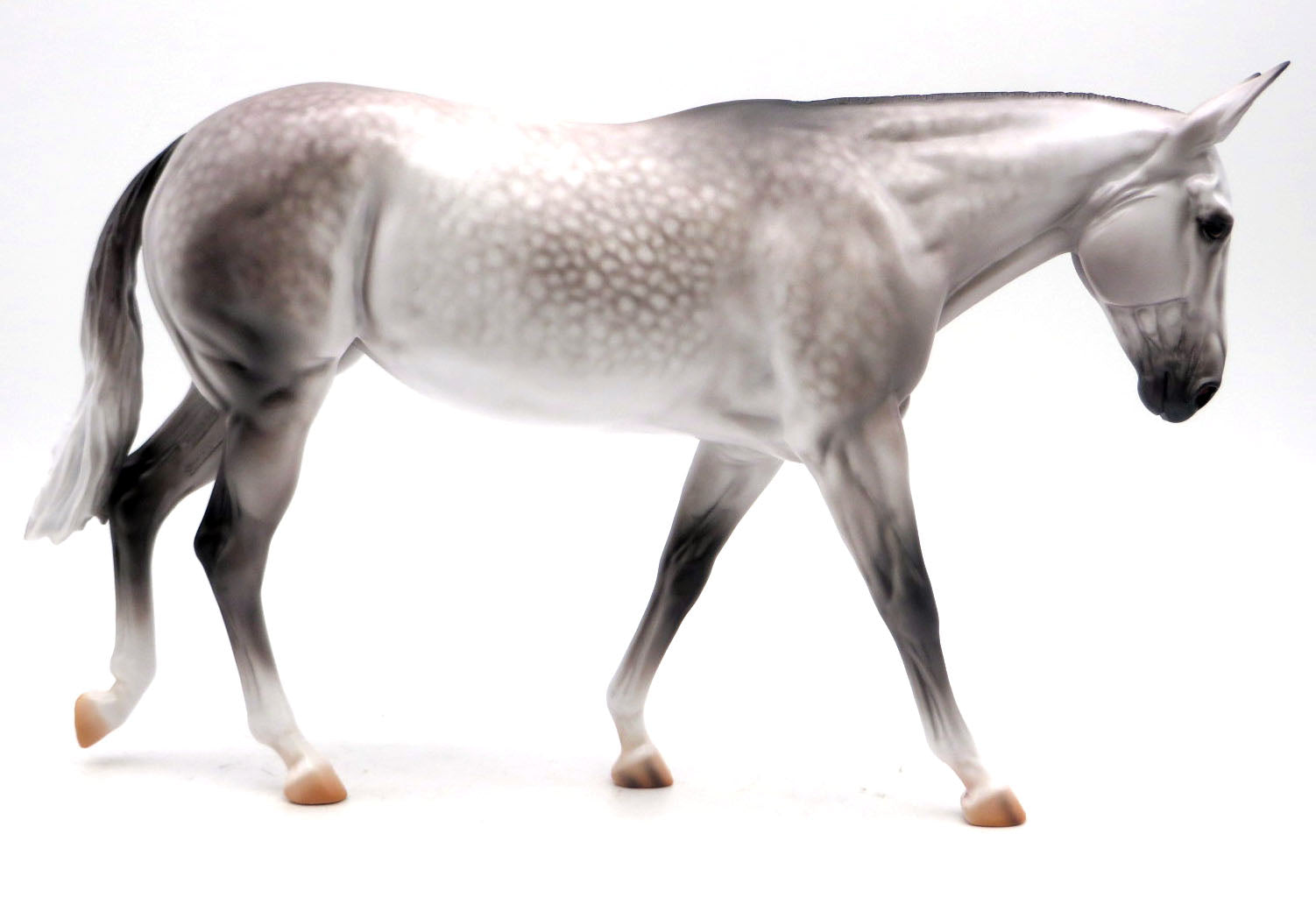 Parliament- OOAK Dapple Grey Mule Painted by Caroline Boydston 5/16/22