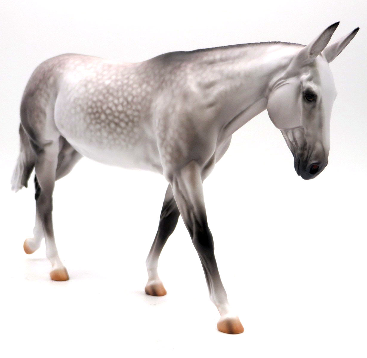 Parliament- OOAK Dapple Grey Mule Painted by Caroline Boydston 5/16/22