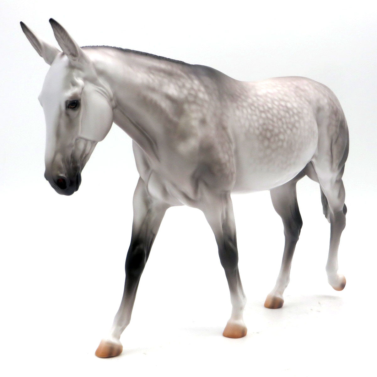 Parliament- OOAK Dapple Grey Mule Painted by Caroline Boydston 5/16/22