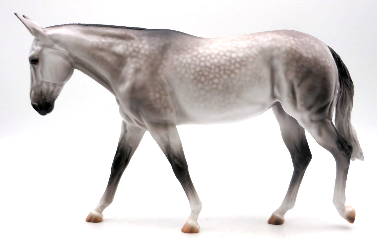 Parliament- OOAK Dapple Grey Mule Painted by Caroline Boydston 5/16/22